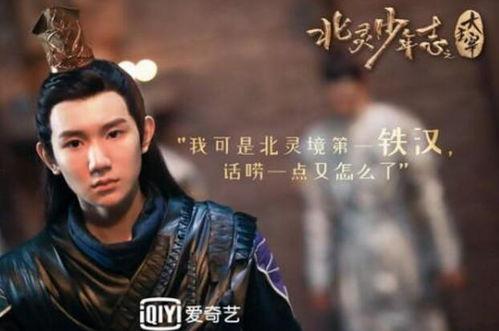 大主宰电视剧,奇幻世界中的英雄崛起与命运抉择